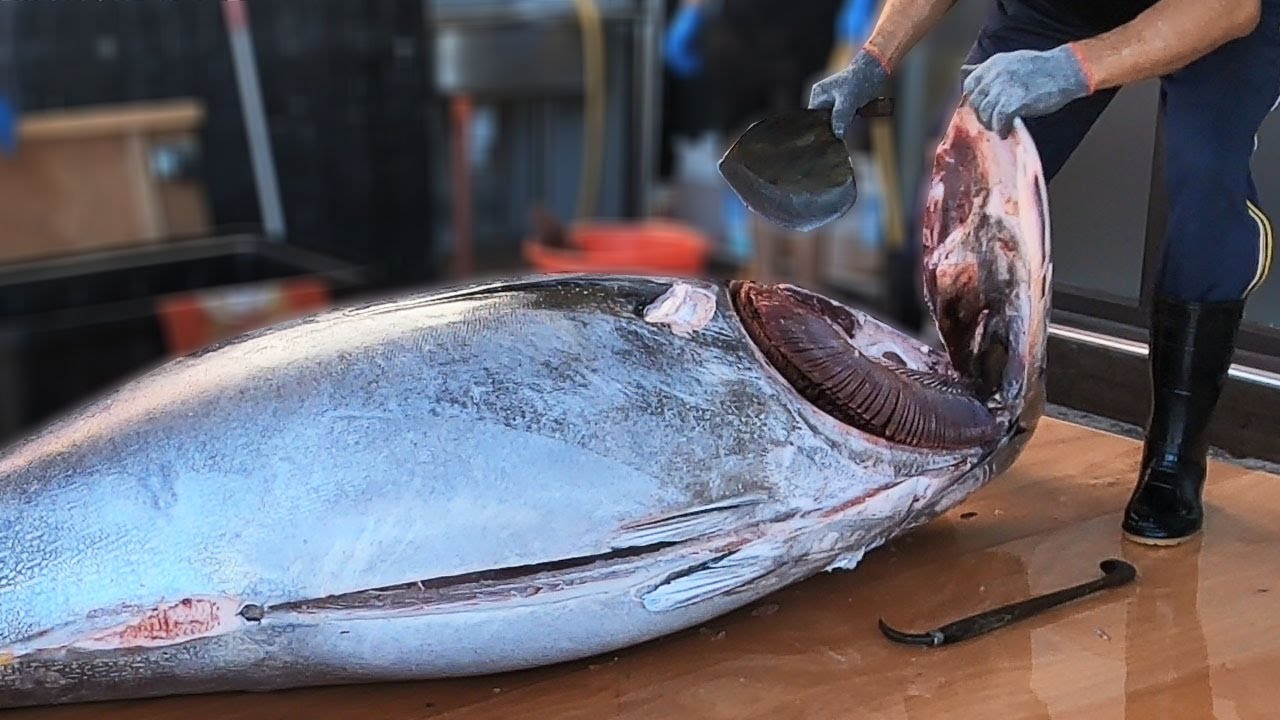 Top Bluefin Tuna Cutting Show In Taiwan Youtube