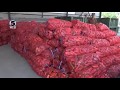 Над 20 милиони килограми пиперки ќе бидат откупени од земјоделците во Пелагонија Над 20 милиони килограми пиперки ќе бидат откупени од земјоделците во Пелагонија