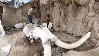 Huge trove of mammoth skeletons found in Mexico | AFP