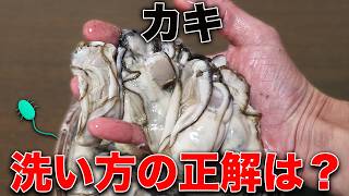 あたりたくない！加熱用カキ vs 生食用カキ。安全に食べるための洗い方3選と食中毒予防のコツ