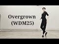 Overgrown (WDM25)  Line Dance #yoonylinedance 