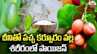 దీనితో పచ్చ కర్పూరం వల్ల శరీరంలో పాయిజన్..! Side Effects Of Using Excess Camphor | ABN Digital