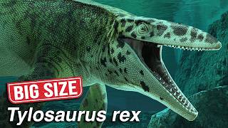 Massive New Mosasaur Discovery! - Paleo Deep Dive