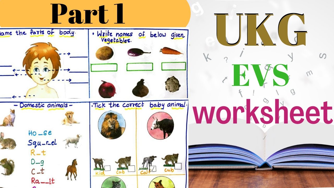 Ukg Evs Worksheet Part 1 Evs Worksheet For Ukg Ukg Evs Syllabus Riset