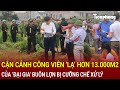 Bản tin thời sự: Cận cảnh công viên ‘lạ’ hơn 13.000m2 của ‘đại gia’ buôn lợn bị cưỡng chế xử lý