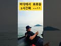 서해바다에서 2시간째 강제 표류중 ㅎㅎ 박사부의 일상 scubadiving 프리다이빙 vlog shorts