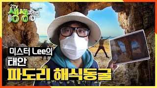 [2TV 생생정보] 자연이 빚어낸 예술작품 ‘파도리 해식동굴’ | KBS 210302 방송