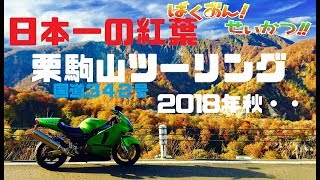 【日本一の紅葉】 栗駒山ツーリング　国道３４２号線　ZX12Rばくおん！ せいかつ！