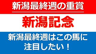 【新潟記念2022】夏の新潟を締めくくる重賞はこの馬から！夏の新潟ラストの重賞、新潟記念【G3】の注目したい1頭を紹介！