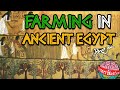 Farming in Ancient Egypt