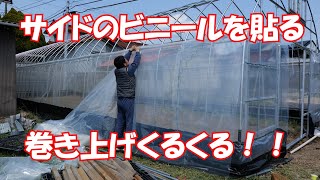 ビニールハウス建設サイドビニールを貼る＃936