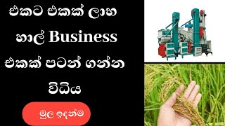 How to do Rice milling Business in srilanka