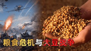 大豆战争与粮食危机：大豆起源于中国，为何现在80%靠进口？