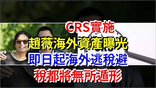 CRS實施，趙薇海外資產曝光，即日起海外逃稅避稅都將無所遁形，[每日財經]