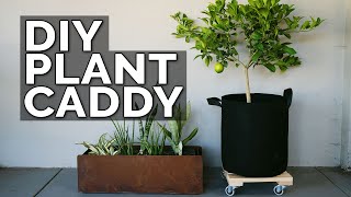 Build a DIY Plant Caddy for Under $30