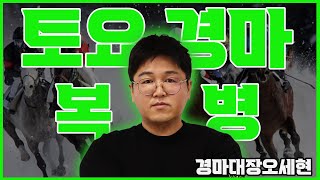 2월 8일 토요경마 분석방송/서울경마/제주경마 예상방송