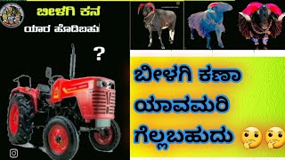 😡ಬೀಳಗಿ ಕಣಾ ಯಾವ ಮರಿ ಗೆಲ್ಲುತ್ತೆ ನೋಡಿ😡 / bilagi tournament / @Tagarupremipraveengokak #sheep #explore