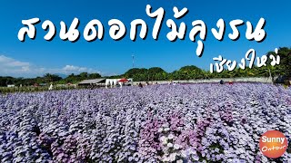 สวนดอกไม้ลุงรน อ.แม่ริม จ.เชียงใหม่ | Lungron flower garden, Chiang Mai | Sunny ontour