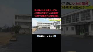 ⬆️本編はリンクから⬆️一体誰が何のために…小学校の花壇で花と花の間に『シカの頭』犯罪心理学の専門家が注目した“時期と場所”#shorts