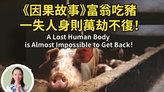 《因果故事》富翁吃豬，一失人身則萬劫不復！A Lost Human Body is Almost Impossible to Get Back！