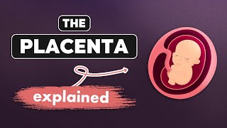 Understanding the Placenta: Development, Function, & Aging