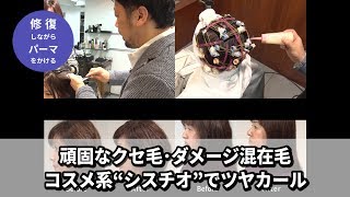 【BjHab】頑固なクセ毛･ダメージ混在毛をコスメ系”シスチオ”でツヤカール／｢セシル｣使用例