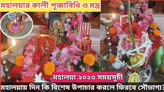 অমাবস্যার কালী পূজা বিধি | Mahalaya Date and Time 2023 | Amavasya Pooja | Living with Sayani