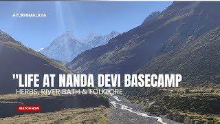 life at Nanda Devi Basecamp | Panchu & Ganghar Villages |herbs| Secrets of Himalayan Black Dog