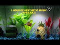 1 Hour of AESTHETIC Music With RAZ!