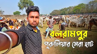 পুরুলিয়ার সেরা হাট বলরামপুর || Balarampur || Purulia Balarampur Hat || Balarampur Hat