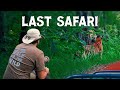 Last Safari with Giant Spiders - Pench Tiger Reserve - 4K Video Hindi | हिन्दी