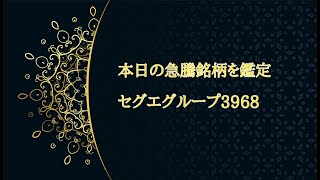 《りんこの企業鑑定》セグエグループ3968