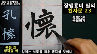 서예 북위 해서 천자문 23 장맹룡비 천자문 육조체 北魏 楷書 千字文 23 書道 書法 붓글씨 calligraphy