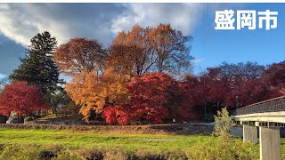 【盛岡城跡公園　晩秋】　岩手県盛岡市