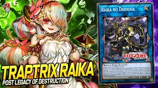 Deck Traptrix Ragnaraika | EDOPRO | Replays 🎮 + Decklist ✔️