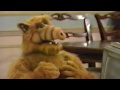 alf alf almost kills willie with the tv set vhs rip