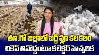 తూ.గో జిల్లాలో బర్డ్ ఫ్లూ కలకలం | Bird flu confirmed in East Godavari District | Samayam Telugu