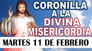 CORONILLA a la DIVINA MISERICORDIA DE HOY MARTES 11 DE FEBRERO 2025  🕊️ Santo Rosario de hoy 💖DLB🙏