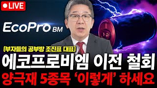 에코프로비엠 이전 상장 철회. 양극재 5종목 '이렇게' 하세요. (부자들의 공부방 조진표 대표)