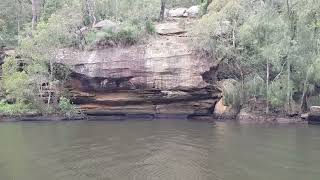 Berowra Creek Boat Trip