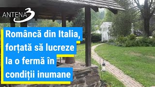 Româncă din Italia, forțată să lucreze la o fermă în condiții inumane