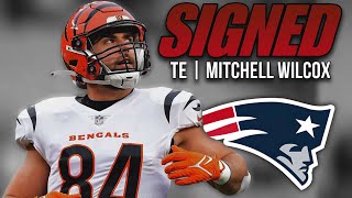 Patriots Sign TE Mitchell Wilcox | Will they still Draft a TE?