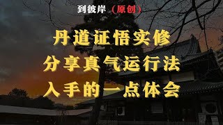 丹道证悟实修分享：真气运行法，入手的一点体会！