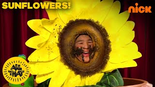 The Snobby Sunflowers Get A Photoshoot 📸 🌻 | All That