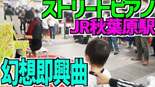 【ストリートピアノ in 秋葉原】ショパン 幻想即興曲 弾いてみた - I play Fantaisie impromptu with piano in akihabara station. -