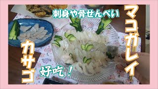 要吃最新鮮的生魚片，我們都是自己料理!/マコガレイとカサゴの刺身です[KOUchanLife]