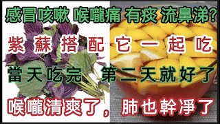 感冒、咳嗽、喉嚨痛、有痰咳不出來、流鼻涕？紫蘇搭配它一起吃，就能把積聚的痰液排幹凈，當天吃完第二天就好了，喉嚨清爽了，肺部也幹淨了！【軒媽說美食】