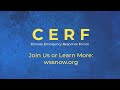 Cerf | Introductory Overview