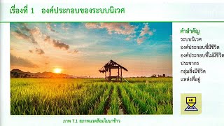 องค์ประกอบของระบบนิเวศ ม.3