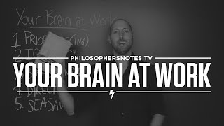 PNTV: Your Brain at Work by David Rock (#285)